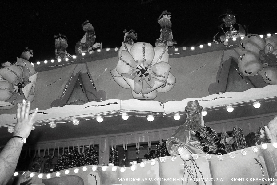 Krewe-of-Endymion-00396-2022