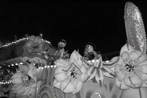 Krewe-of-Endymion-00382-2022