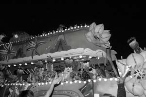 Krewe-of-Endymion-00383-2022