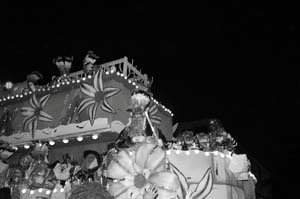 Krewe-of-Endymion-00389-2022