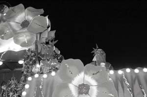 Krewe-of-Endymion-00478-2022