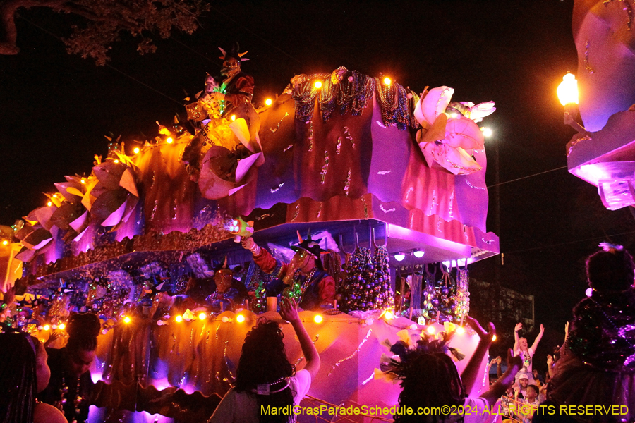 2024-Endymion-11061