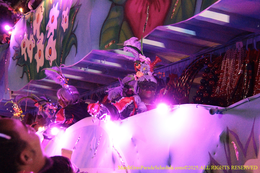 Mystic-Krwew-Femme-Fatale-2025-002893