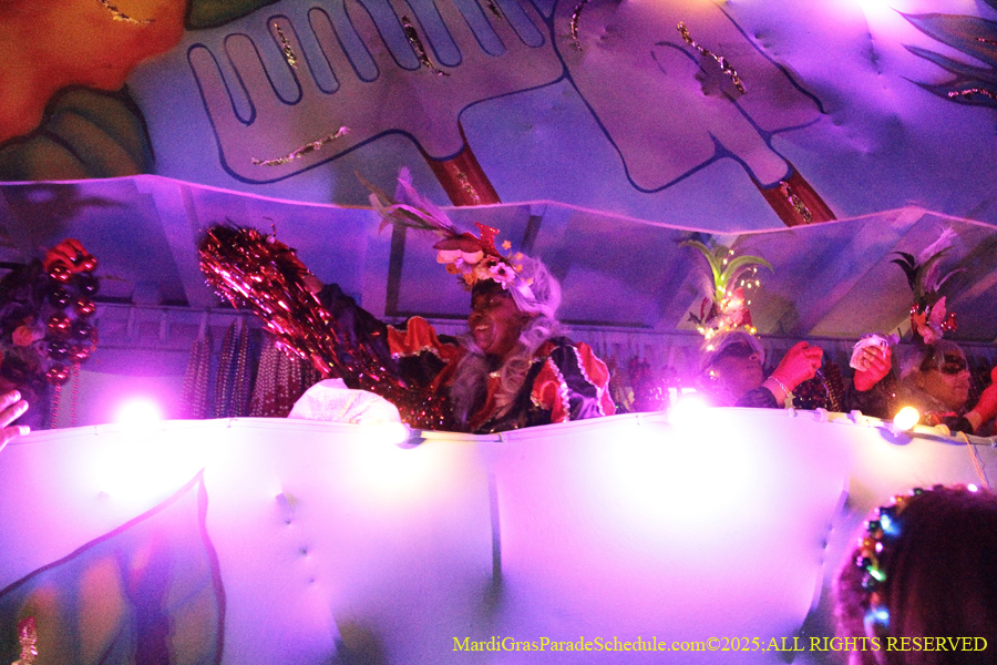 Mystic-Krwew-Femme-Fatale-2025-002898