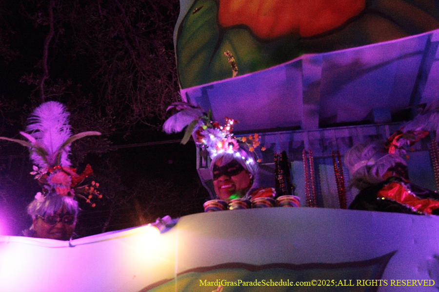 Mystic-Krwew-Femme-Fatale-2025-002899