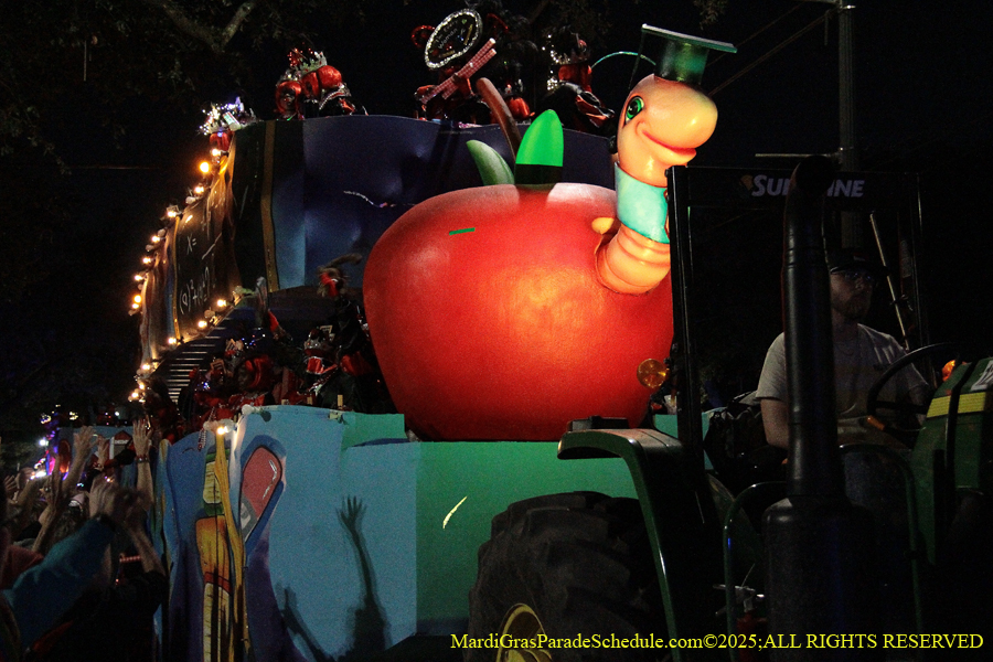 Mystic-Krwew-Femme-Fatale-2025-002908