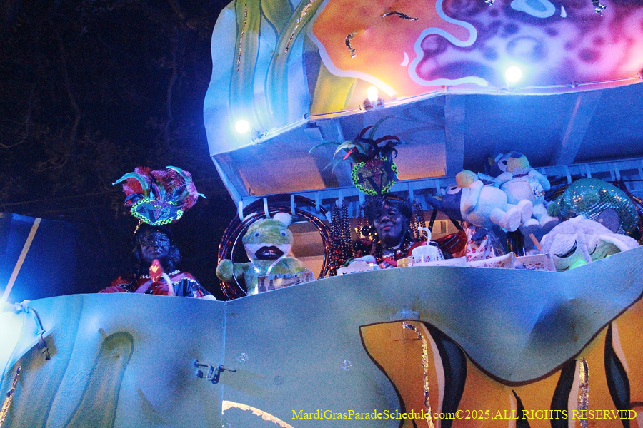 Mystic-Krwew-Femme-Fatale-2025-002957