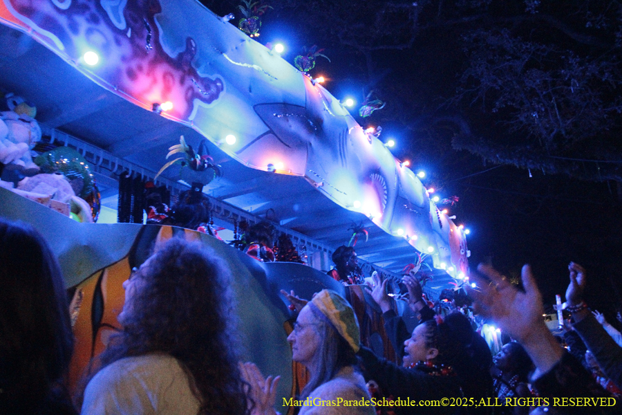 Mystic-Krwew-Femme-Fatale-2025-002958