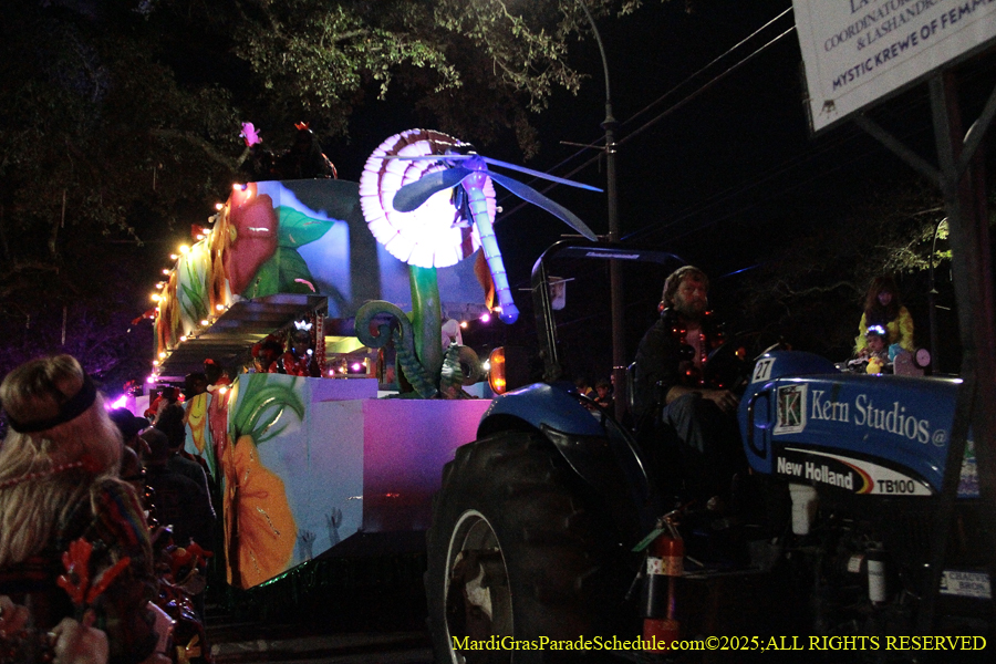 Mystic-Krwew-Femme-Fatale-2025-002968