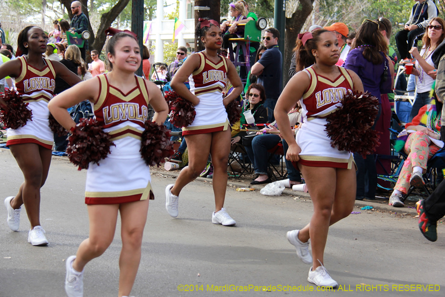 2014-Krewe-of-Freret11119