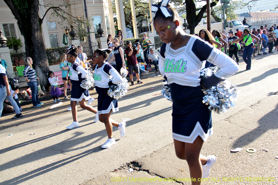 Krewe-of-Freret-2017-02685