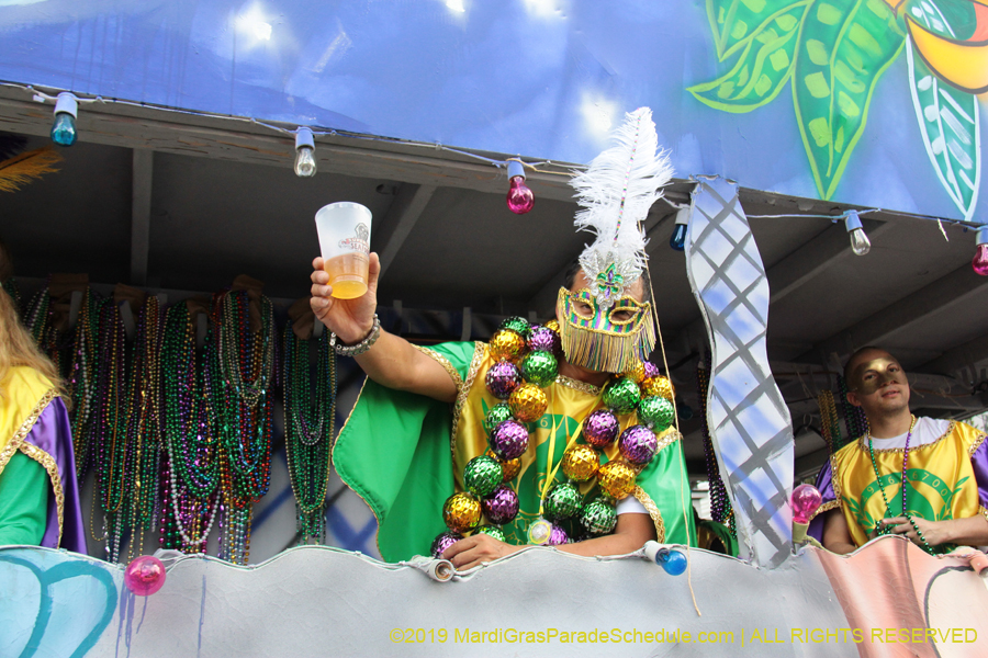 Krewe-of-Freret-2019-002274