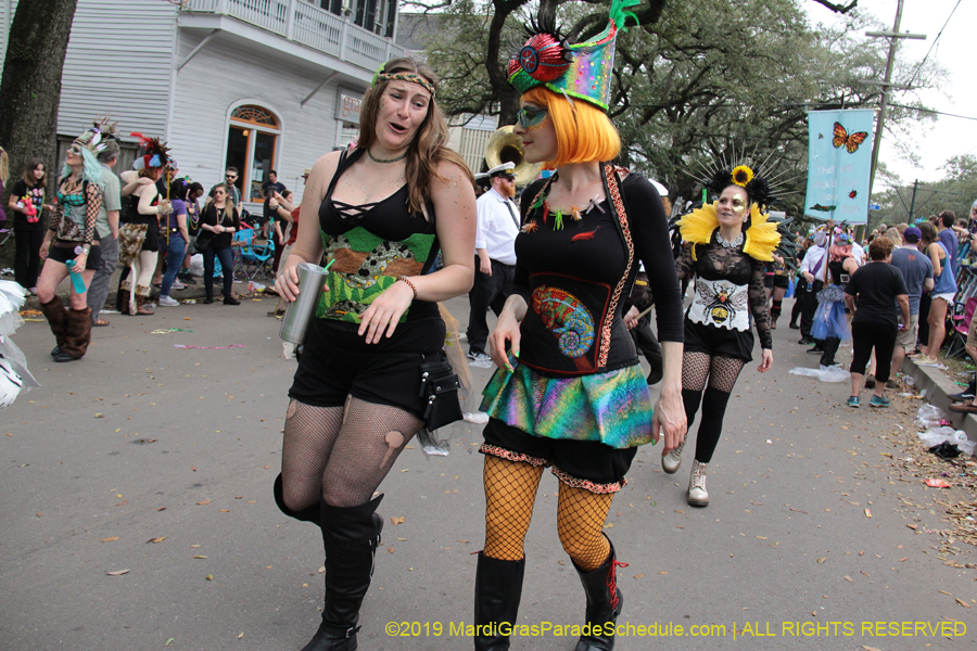 Krewe-of-Freret-2019-002337