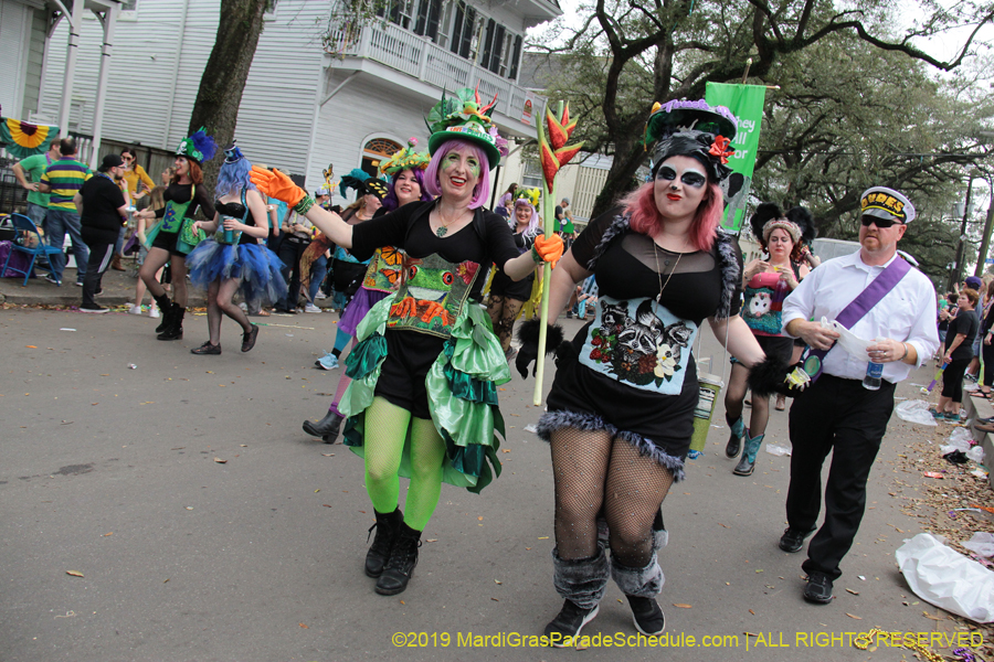 Krewe-of-Freret-2019-002342