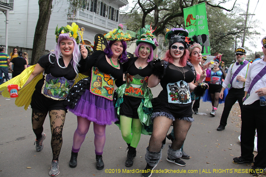 Krewe-of-Freret-2019-002344