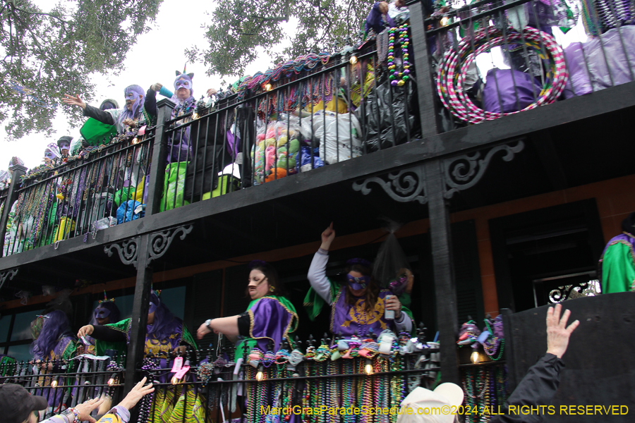 2024-Krewe-of-Freret-10824