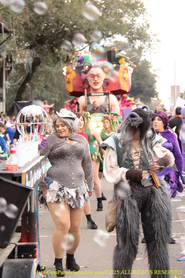 Krewe-of-Freret-2025-002590