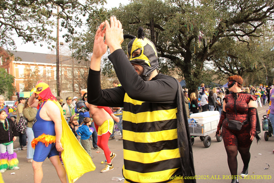 Krewe-of-Freret-2025-002626