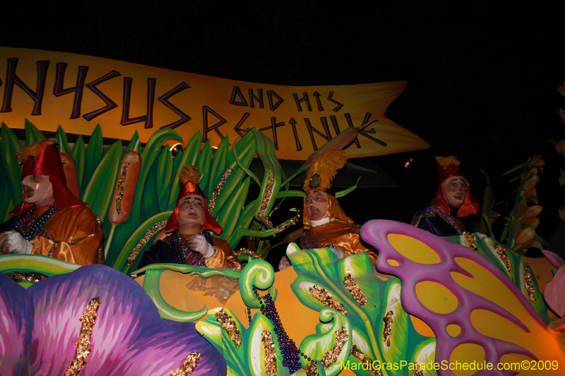 2009-Krewe-of-Hermes-presents-Dionysus-and-his-Retinue-Mardi-Gras-New-Orleans-0100