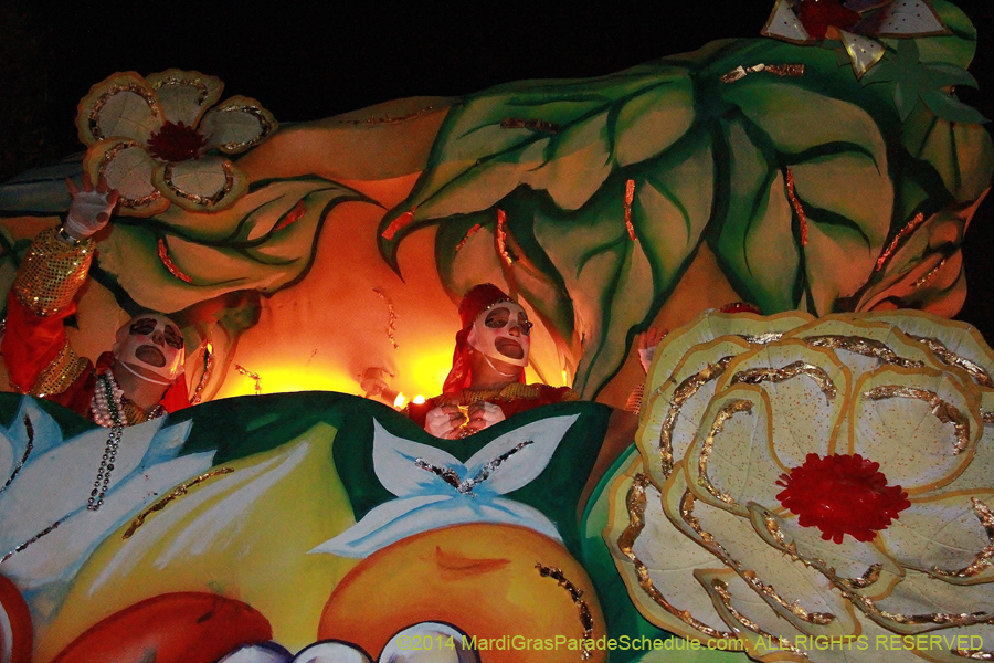 2014-Krewe-of-Hermes11204