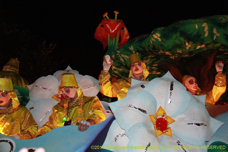 2014-Krewe-of-Hermes11235