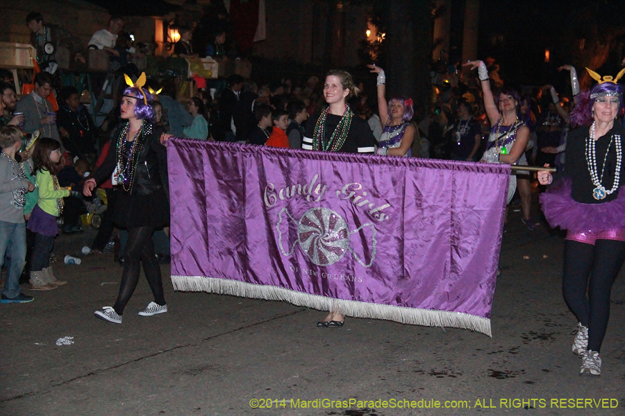 2014-Krewe-of-Hermes11316