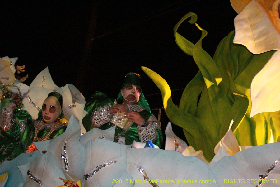 Krewe-of-Hermes-2015-14898