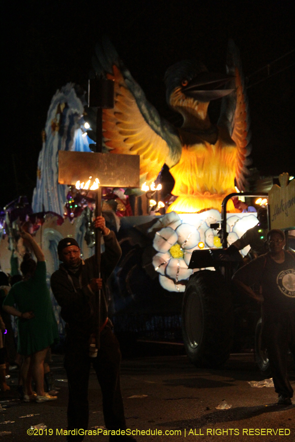 Krewe-of-Hermes-2019-005493