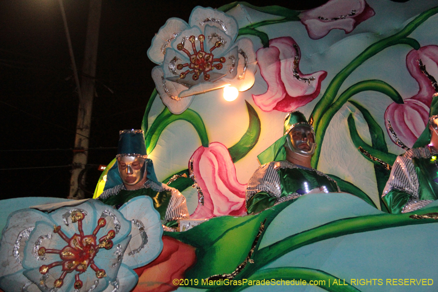 Krewe-of-Hermes-2019-005539