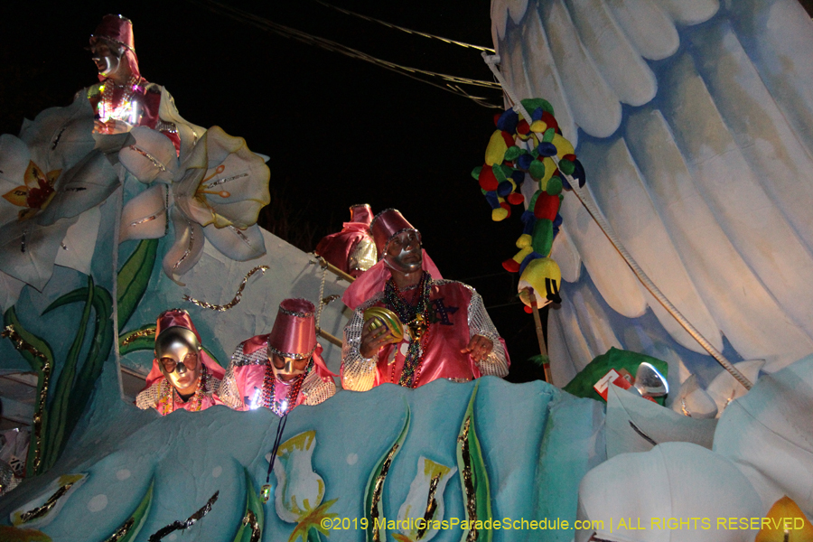 Krewe-of-Hermes-2019-005545