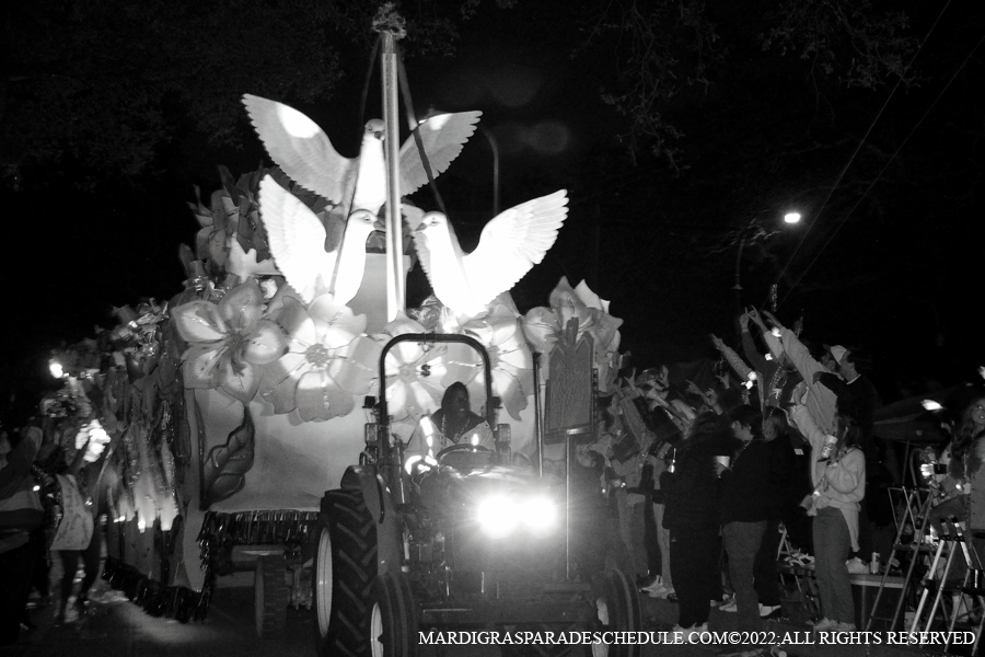 Krewe-of-Hermes-00146-2022