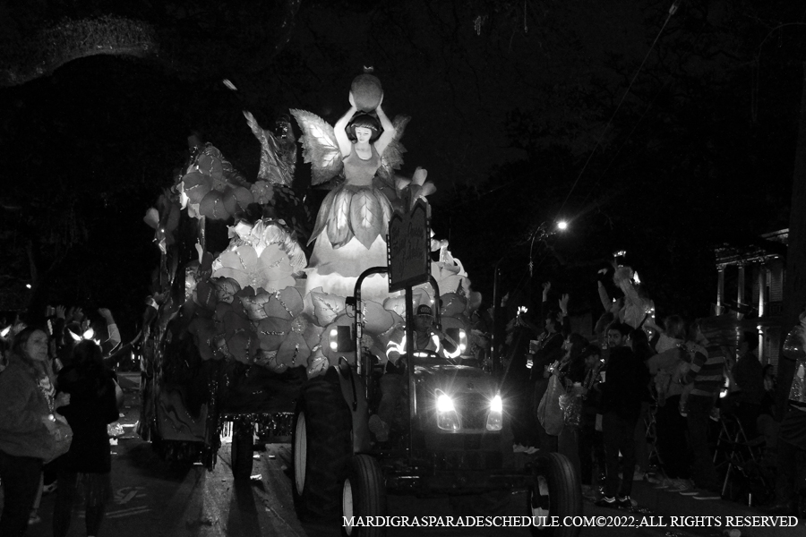 Krewe-of-Hermes-00156-2022