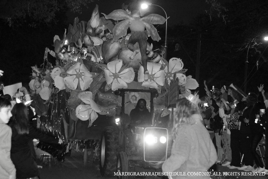 Krewe-of-Hermes-00164-2022