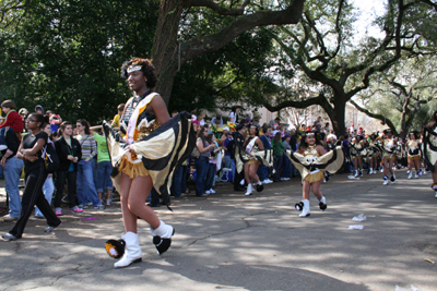 2008-Krewe-of-Iris-New-Orleans-Mardi-Gras-Parade-0111