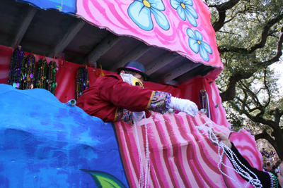 2008-Krewe-of-Iris-New-Orleans-Mardi-Gras-Parade-0180