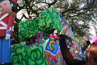 2008-Krewe-of-Iris-New-Orleans-Mardi-Gras-Parade-0213