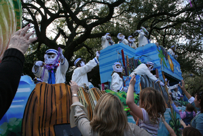 2008-Krewe-of-Iris-New-Orleans-Mardi-Gras-Parade-0227