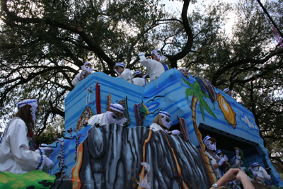 2008-Krewe-of-Iris-New-Orleans-Mardi-Gras-Parade-0228