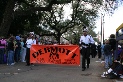 2008-Krewe-of-Iris-New-Orleans-Mardi-Gras-Parade-0282