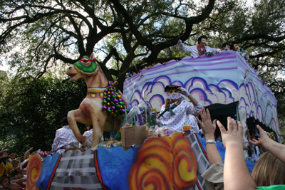 2008-Krewe-of-Iris-New-Orleans-Mardi-Gras-Parade-0293