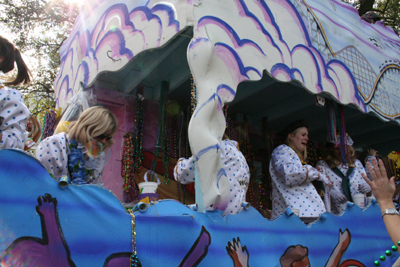 2008-Krewe-of-Iris-New-Orleans-Mardi-Gras-Parade-0295