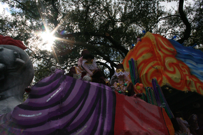 2008-Krewe-of-Iris-New-Orleans-Mardi-Gras-Parade-0320