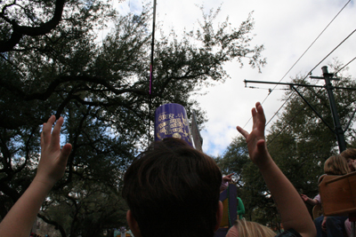 2008-Krewe-of-Iris-New-Orleans-Mardi-Gras-Parade-0329