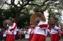 2008-Krewe-of-Iris-New-Orleans-Mardi-Gras-Parade-0305