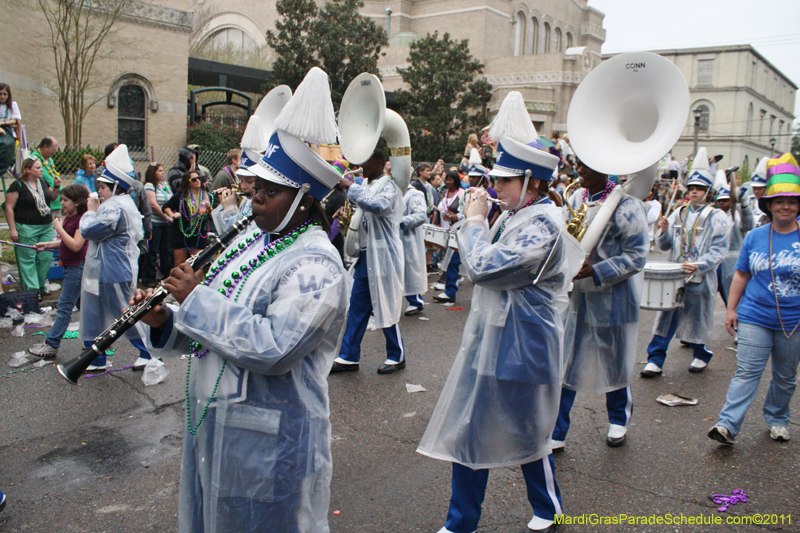 Krewe-of-Iris-2011-0173