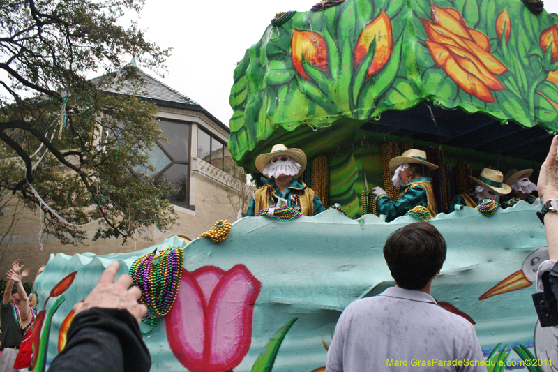 Krewe-of-Iris-2011-0204