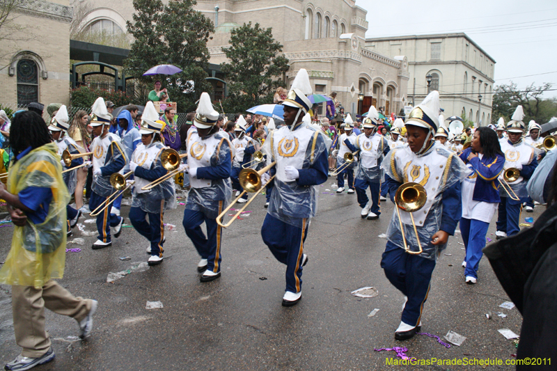 Krewe-of-Iris-2011-0220