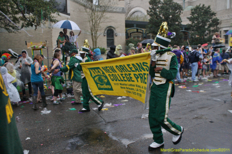 Krewe-of-Iris-2011-0259