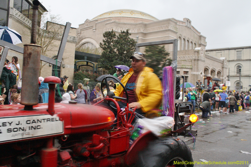 Krewe-of-Iris-2011-0285