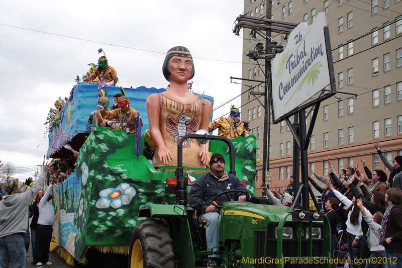 Krewe-of-Iris-2012-0241